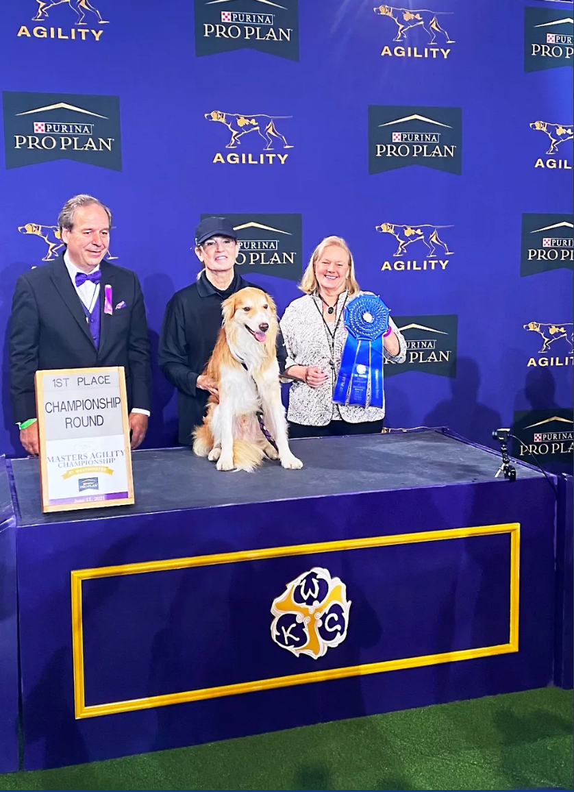 Dr. Tracy Golden wins Westminster Kennel Club 2021 Big Dog Championship with border collie Doggie
